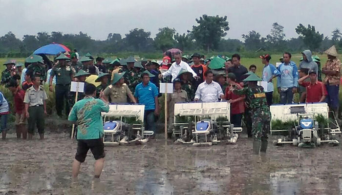 Kementan Libatkan Puluhan Ribu Orang di Sulsel Dukung Tim Serap Gabah 